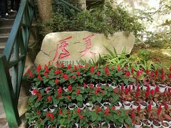 -庐山风景区花径公园