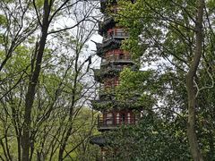 -上海佘山国家森林公园西佘山园