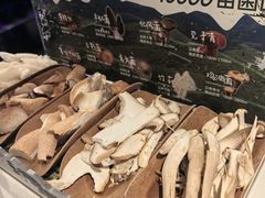 -芸山季·云南山珍菌火锅(南翔印象城MEGA店)