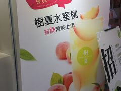 -树夏(建设路店)