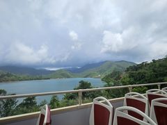 -Big Bus Tours 敞篷观光巴士