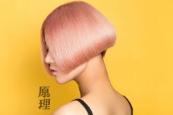 -Y-STUDIO原理