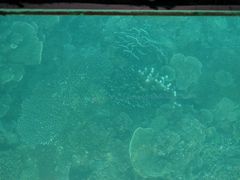 -东姑阿都拉曼海洋公园