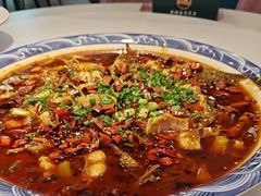 -新概念来凤鱼(璧山店)