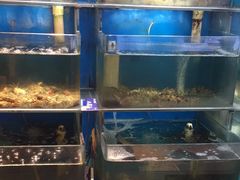 -粥全粥到海鲜家常菜·海肠捞饭(嫩江路店)