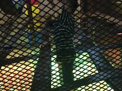 -蒙特利亲子乐园