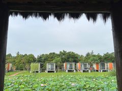 -上海怡沁园度假酒店