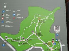 -上海佘山国家森林公园天马山园