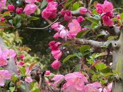 -梁鸿国家湿地公园