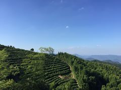 -径山寺