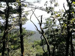 -罗田薄刀峰风景区