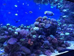 -成都浩海立方海洋公园