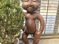 -郑州植物园