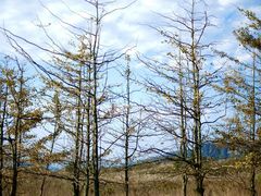 -山王坪喀斯特国家生态公园