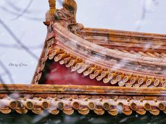 -故宫博物院(故宫)
