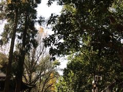 -灵顺寺
