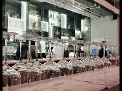-the rug 飞毯 (朝阳公园店)