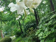 -新江湾城公园