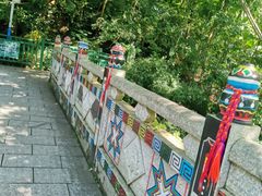 -西双版纳原始森林公园