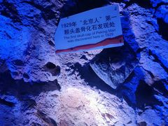 -周口店北京人遗址公园
