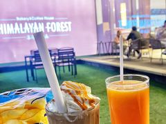 -喜马拉雅森HIMALAYAN FOREST