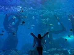 -哈尔滨波塞冬海底世界