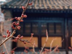 -国家植物园