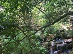 -火炉山森林公园