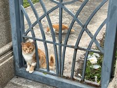 -好成财牛排馆(涂门街总店)