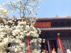 -灵谷景区