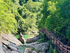 -广州白江湖森林公园