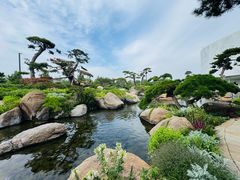 -罗红摄影艺术馆