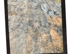 -美的鹭湖森林度假区