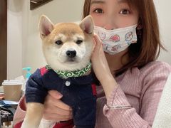 -逗柴咖啡屋·狗咖猫咖宠物桌游