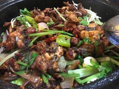 -清真重庆巴爷香辣鸡煲(南小巷店)