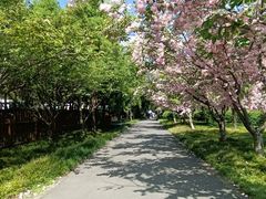 -东平国家森林公园
