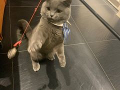 -吱咖啡西式简餐