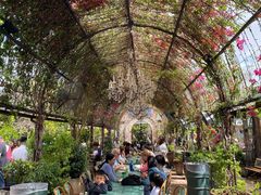 -The Grounds of Alexandria