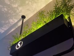 -华夏良子·足道SPA艾灸(王府井店)