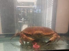 -斯通泰伯酒店-餐厅