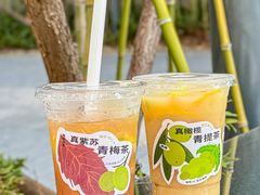 -炖物24章·顺时轻养茶(黄龙店)