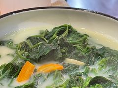 -喜上喜鸡煲翅(吉大店)