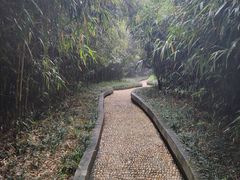 -菊花台公园