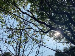 -上海长江河口科技馆