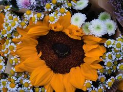 -循礼门鲜花花市(武汉循礼门店)