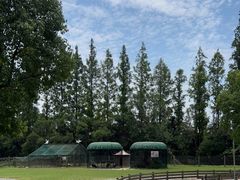 -前小桔亲子创意农场·草莓采摘·露营烧烤