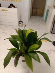 -韩美绣·骨相纹眉·洗眉美瞳线