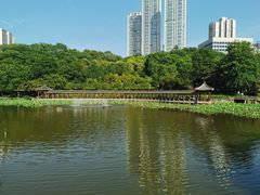 -龙头寺公园