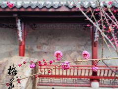 -长春观
