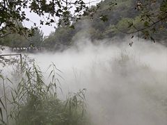 -北京植物园南门售票处